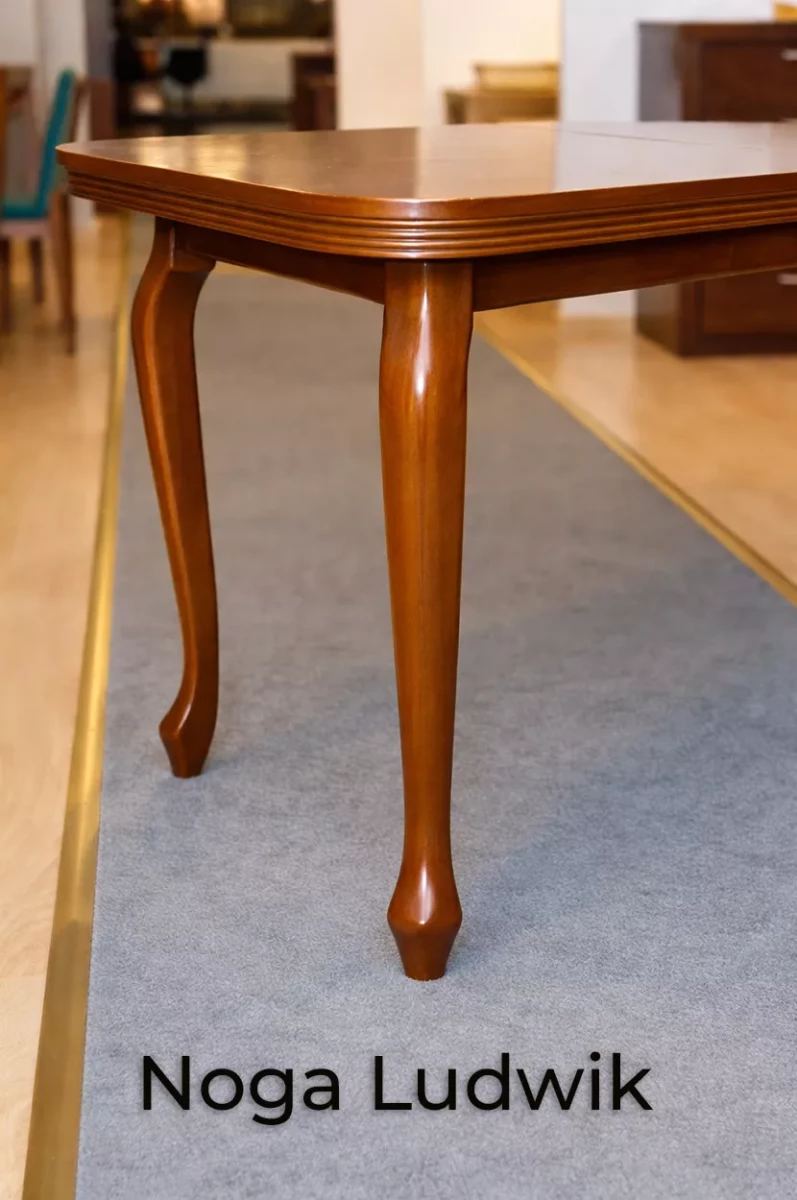 noga-ludwik